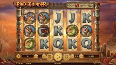 bird of thunder screenshot