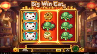 big win cat play go screenshot (4)