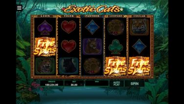 exotic cats screenshot (1)