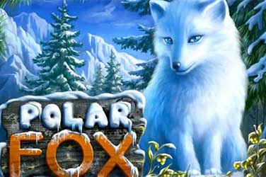 Polar Fox