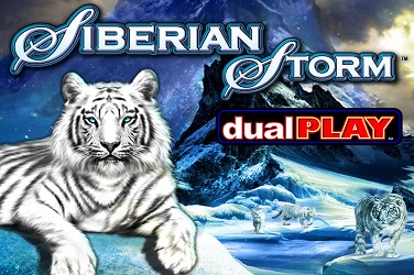 Siberian Storm Dual Play