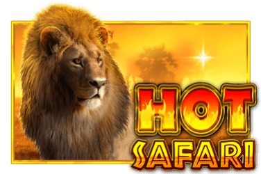 Hot Safari