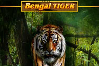 Untamed Bengal Tiger