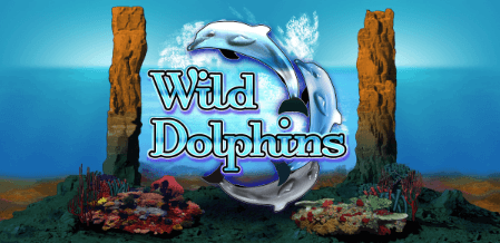 Wild Dolphins