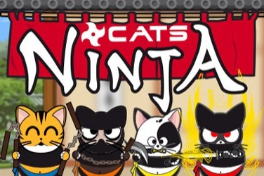 Ninja Cats