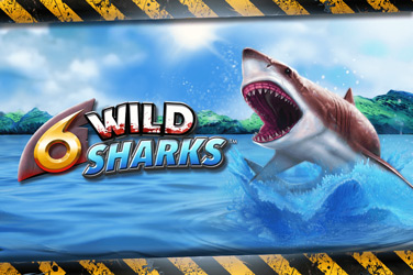 6 Wild Sharks