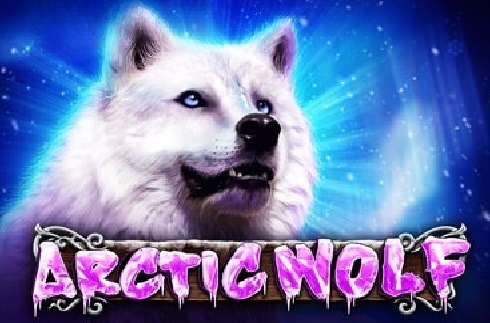 Arctic Wolf