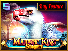 Majestic King - Sunset