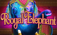 Royal Elephant