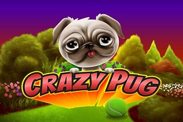 Crazy Pug