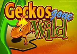 Geckos Gone Wild