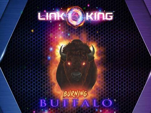 Link King Burning Buffalo