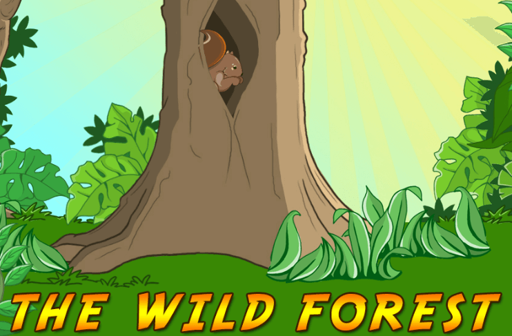 The Wild Forest