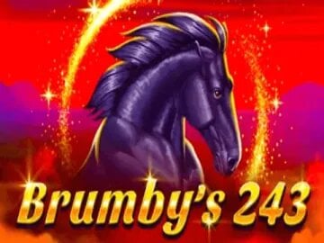 Brumby's 243