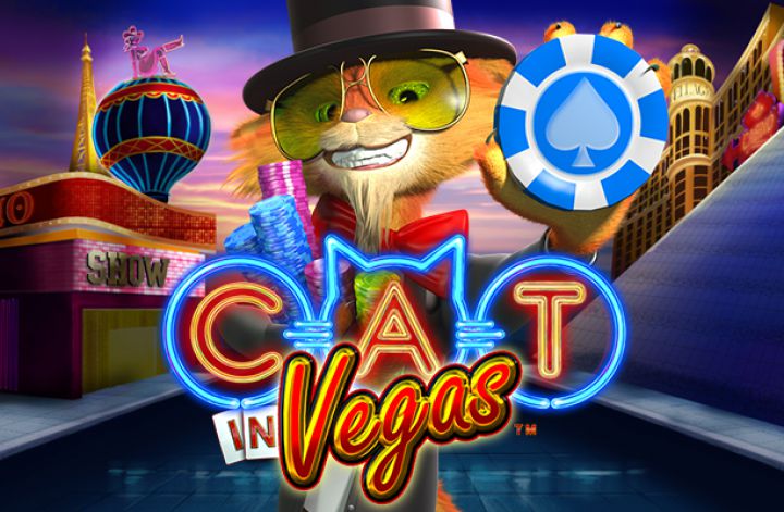 Cat in Vegas