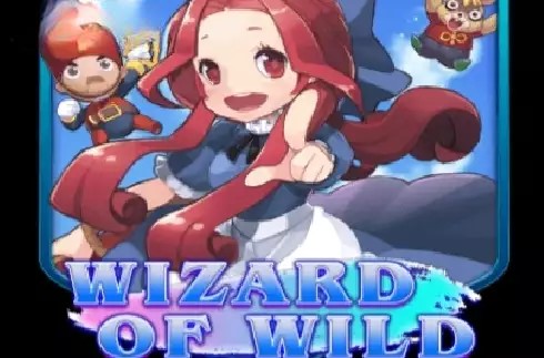 Wizard of Wild