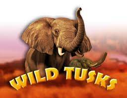 Wild Tusks