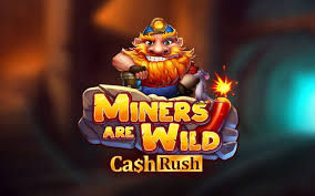 Miners are Wild Cash Rush