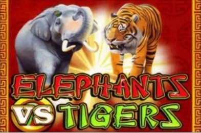Elephants vs Tigers