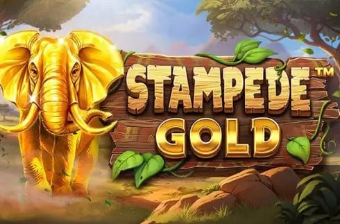 Stampede Gold