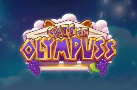 Cats of Olympuss