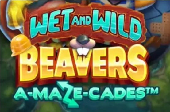 Wet and Wild Beavers