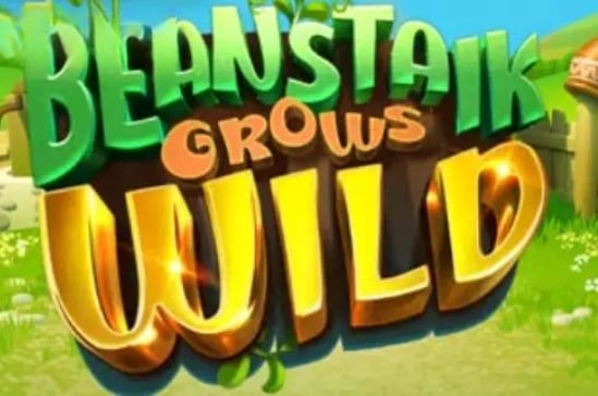 Beanstalk Grows Wild