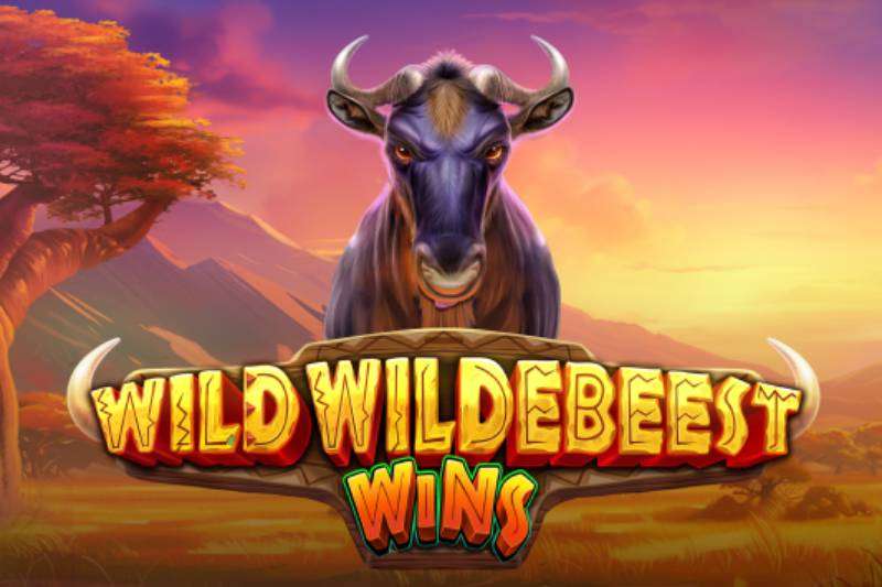 Wild Wildebeest Wins